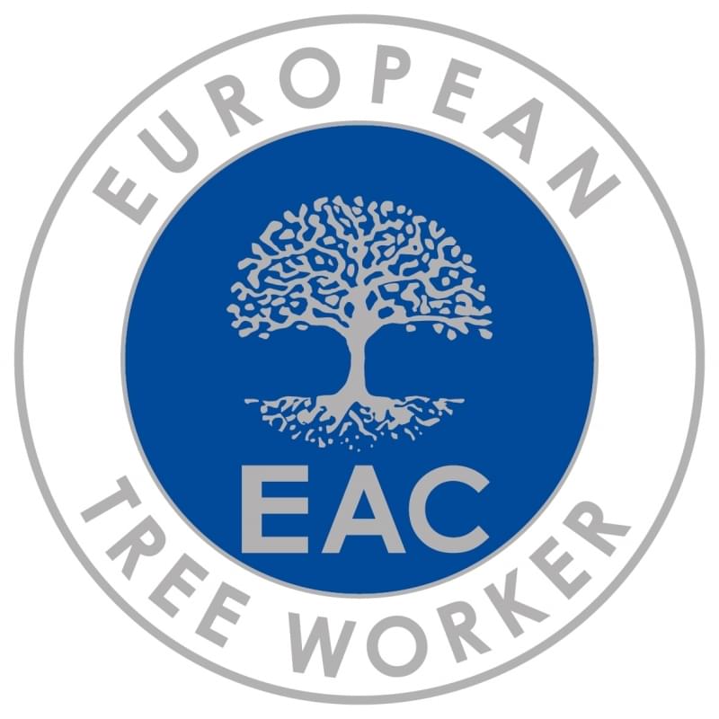 European tree worker in Hanau