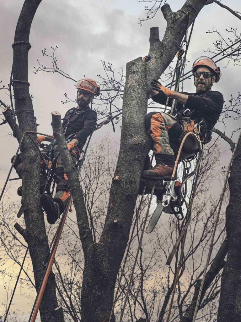 Baumpflege Team Hanau Über Uns